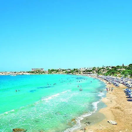Seashell * Paphos