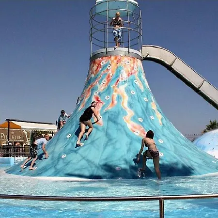 Seashell بافوس